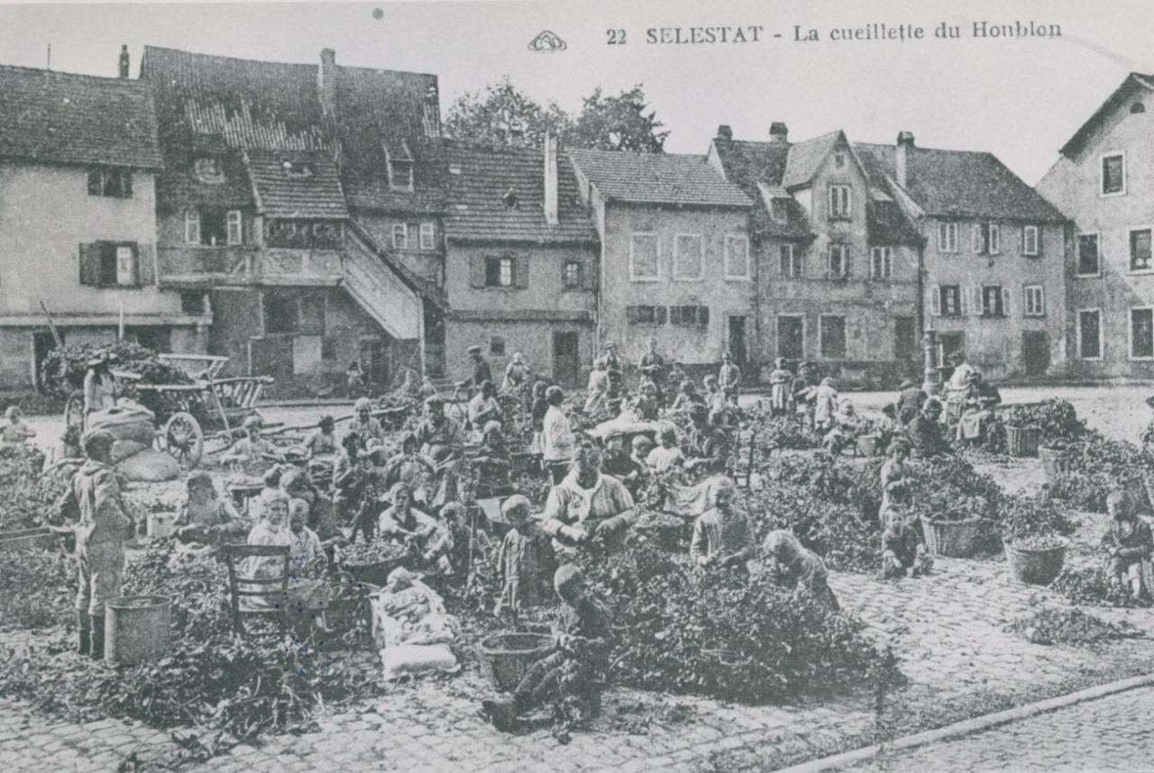 Au Bon Vieux Port Maison De Vacances Alsacienne A 10Mn De Ribeauville, Riquewihr Et Kaysersberg Sélestat Eksteriør billede